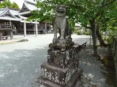 八坂神社の狛犬