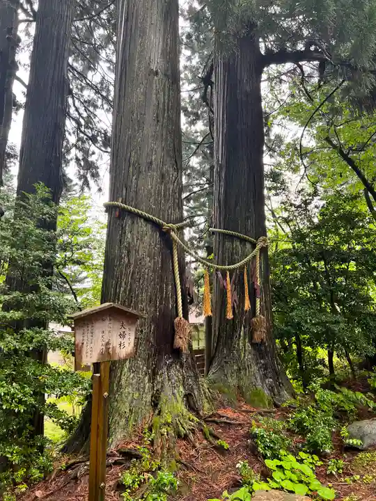金峯神社(山形県)