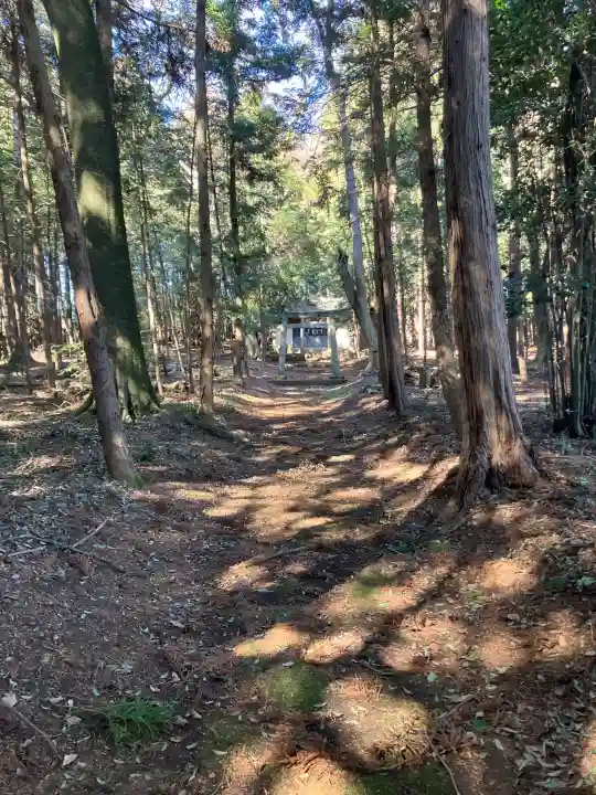 富岡二所神社の{uncategorized: "未分類", other: "その他", undefined: "問題あり", building: "その他建物", grave: "お墓", sacred_gate: "鳥居", guardian: "狛犬", statue: "像", buddha: "仏像", history: "歴史", nature: "自然", garden: "庭園", animal: "動物", pagoda: "塔", temizu: "手水舎", mountain_gate: "山門・神門", sanctuary: "本殿・本堂", subordinate: "末社・摂社", art: "芸術", scenery: "景色", jizo: "地蔵", ema: "絵馬", goshuin: "御朱印", omikuji: "おみくじ", items: "授与品その他", amulet: "お守り", goshuincho: "御朱印帳", eats: "食事", festival: "お祭り", votive_dance: "神楽", shichigosan: "七五三参", wedding: "結婚式", experience: "体験その他", initially: "初詣", around: "周辺", anti_infection: "感染症対策"}