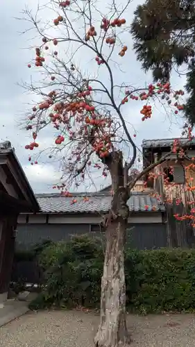 稲荷神社（鞭崎神社境外社）(滋賀県)
