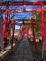 於菊稲荷神社(群馬県)