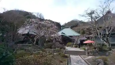 海蔵寺のその他建物