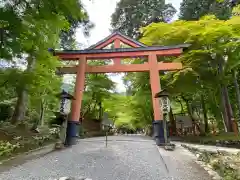 日吉大社の鳥居