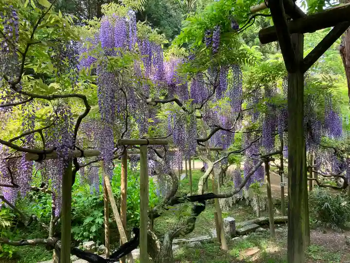 春日大社(奈良県)