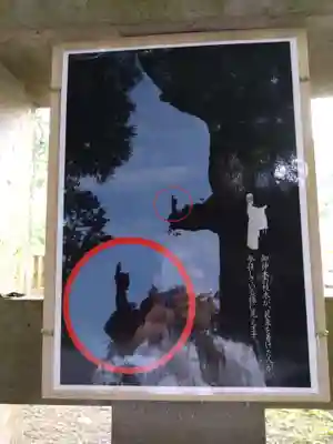 霧島神宮(鹿児島県)