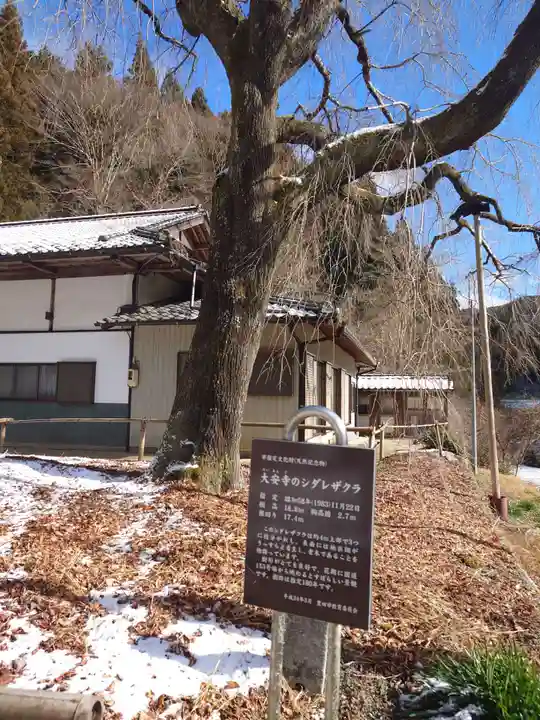 大安寺(愛知県)