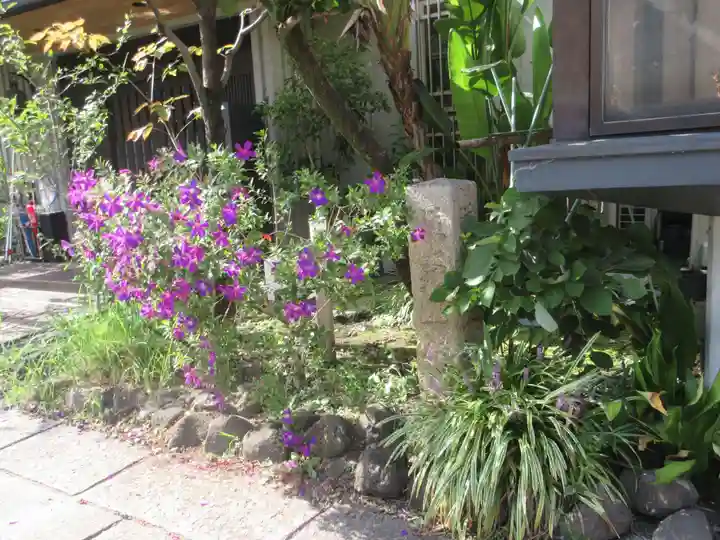 善光寺(東京都)