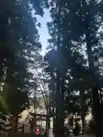 大宮温泉神社(栃木県)