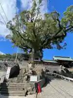 鎮西大社諏訪神社(長崎県)