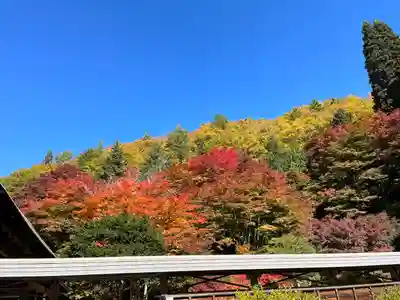 霊松寺(長野県)