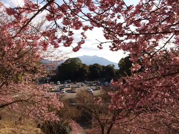 楽法寺(雨引観音)の景色