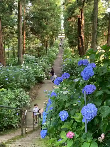 磯山神社の庭園