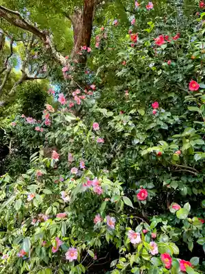 城南宮(京都府)