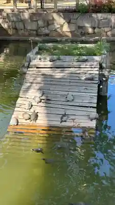 四天王寺(大阪府)