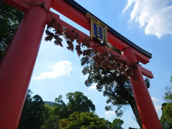 松尾大社の鳥居