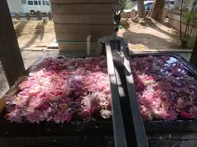 上野総社神社(群馬県)