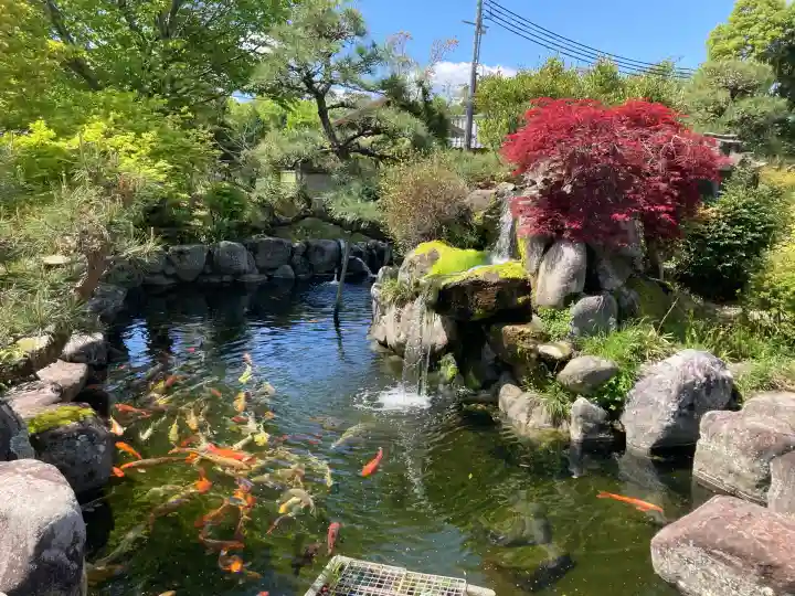 鏑射寺(兵庫県)