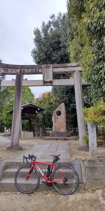 大酒神社(京都府)
