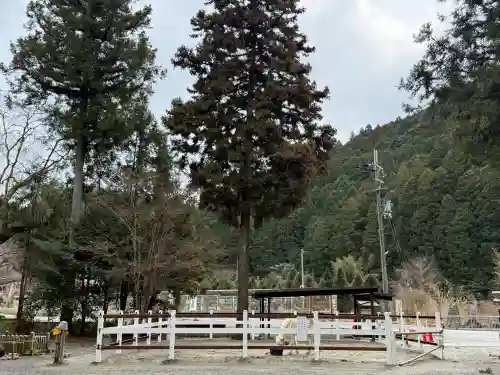 丹生川上神社（下社）(奈良県)