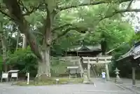 事任八幡宮の景色