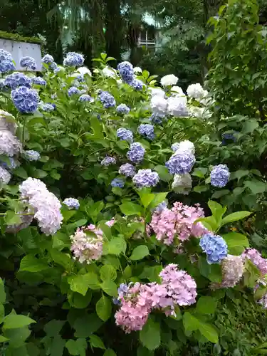 本郷氷川神社(東京都)