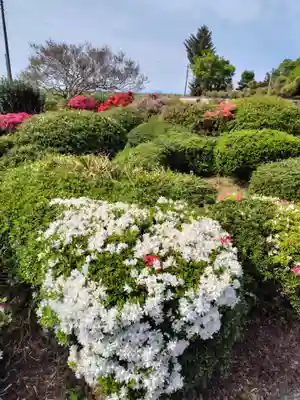 永徳寺(群馬県)