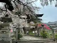 山家神社(長野県)