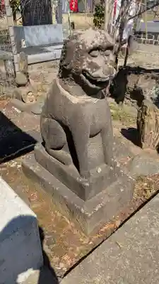 櫻岡大神宮の狛犬