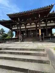 般若寺 ❁﻿コスモス寺❁(奈良県)