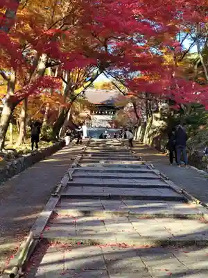 毘沙門堂門跡(京都府)