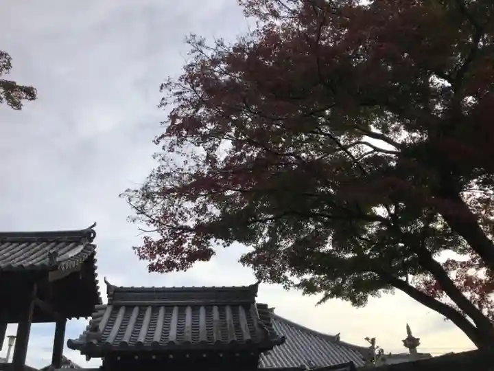 雲住寺のその他建物