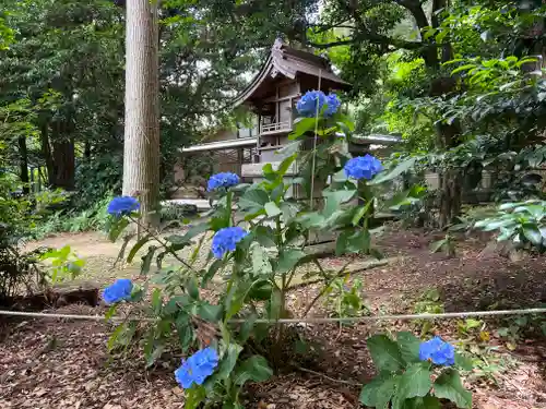 下野 星宮神社の自然