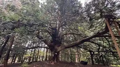 真山神社(秋田県)