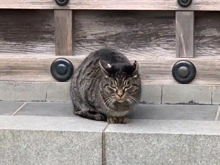 川崎大師(平間寺)の動物