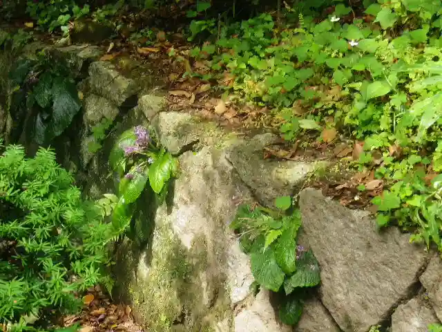 荏柄天神社の自然