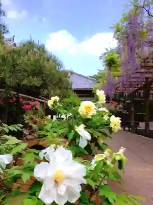 愛染院(東京都)