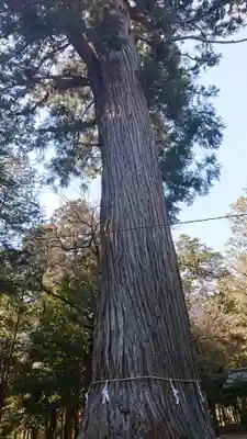 村檜神社の自然