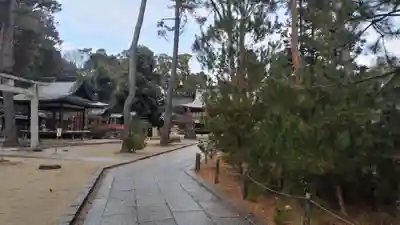 今宮神社(京都府)