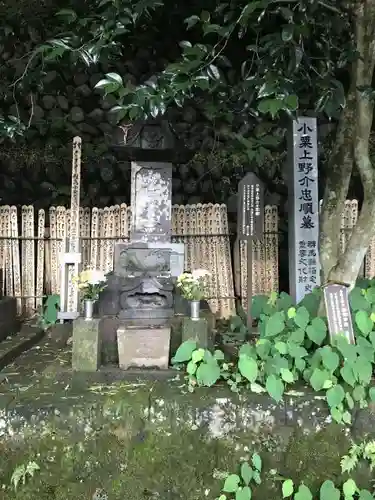 東善寺のお墓