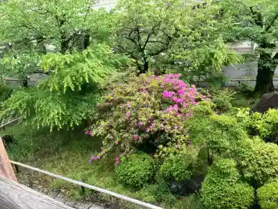 甲斐善光寺の{uncategorized: "未分類", other: "その他", undefined: "問題あり", building: "その他建物", grave: "お墓", sacred_gate: "鳥居", guardian: "狛犬", statue: "像", buddha: "仏像", history: "歴史", nature: "自然", garden: "庭園", animal: "動物", pagoda: "塔", temizu: "手水舎", mountain_gate: "山門・神門", sanctuary: "本殿・本堂", subordinate: "末社・摂社", art: "芸術", scenery: "景色", jizo: "地蔵", ema: "絵馬", goshuin: "御朱印", omikuji: "おみくじ", items: "授与品その他", amulet: "お守り", goshuincho: "御朱印帳", eats: "食事", festival: "お祭り", votive_dance: "神楽", shichigosan: "七五三参", wedding: "結婚式", experience: "体験その他", initially: "初詣", around: "周辺", anti_infection: "感染症対策"}