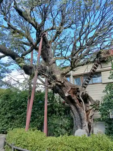 延命院(東京都)