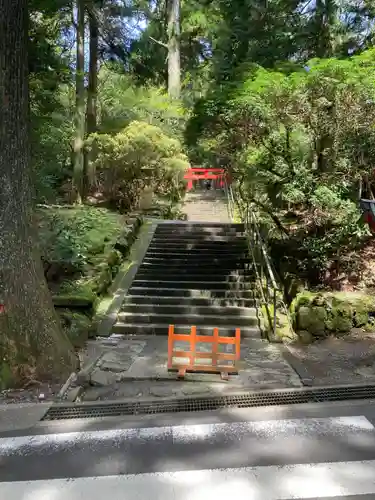 箱根神社(神奈川県)