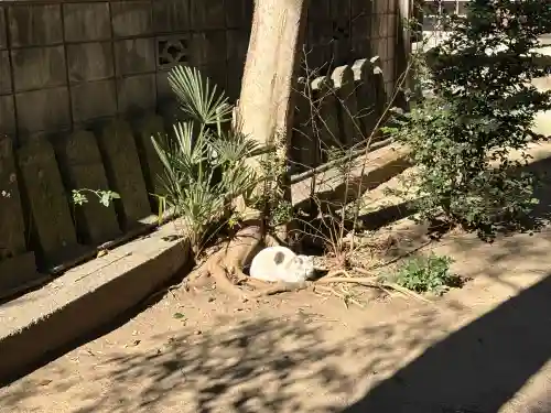 柏諏訪神社の{uncategorized: "未分類", other: "その他", undefined: "問題あり", building: "その他建物", grave: "お墓", sacred_gate: "鳥居", guardian: "狛犬", statue: "像", buddha: "仏像", history: "歴史", nature: "自然", garden: "庭園", animal: "動物", pagoda: "塔", temizu: "手水舎", mountain_gate: "山門・神門", sanctuary: "本殿・本堂", subordinate: "末社・摂社", art: "芸術", scenery: "景色", jizo: "地蔵", ema: "絵馬", goshuin: "御朱印", omikuji: "おみくじ", items: "授与品その他", amulet: "お守り", goshuincho: "御朱印帳", eats: "食事", festival: "お祭り", votive_dance: "神楽", shichigosan: "七五三参", wedding: "結婚式", experience: "体験その他", initially: "初詣", around: "周辺", anti_infection: "感染症対策"}