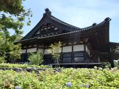 時宗総本山 遊行寺（正式：清浄光寺）(神奈川県)