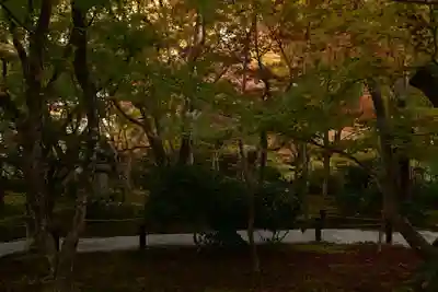 圓光寺(京都府)