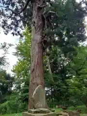 金ケ崎神社の自然