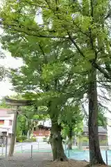 本莊神社(岐阜県)