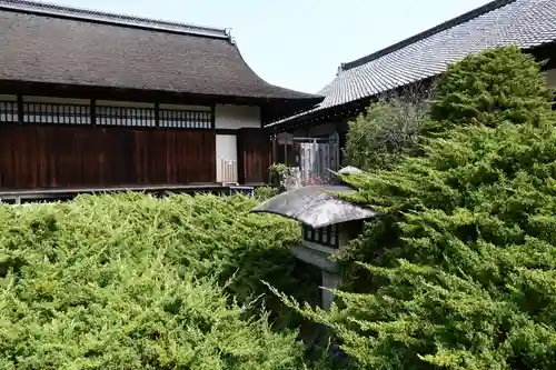 勧修寺(京都府)