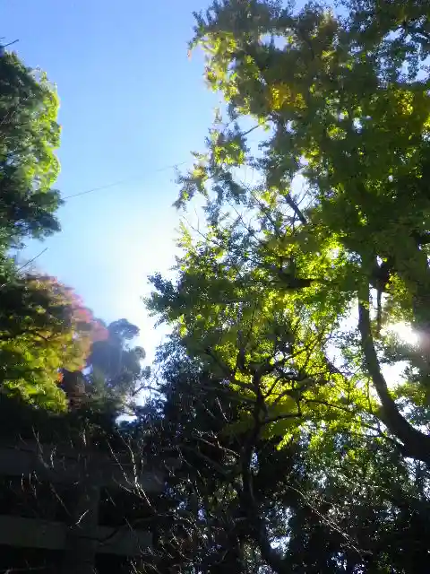 荏柄天神社のその他建物