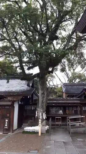 護王神社の自然